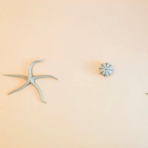 clay star fish